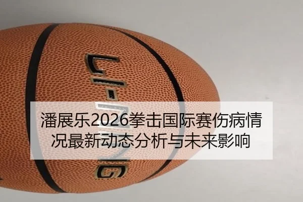 潘展乐2026拳击国际赛伤病情况最新动态分析与未来影响
